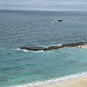 Meet your Posher, Priscilla